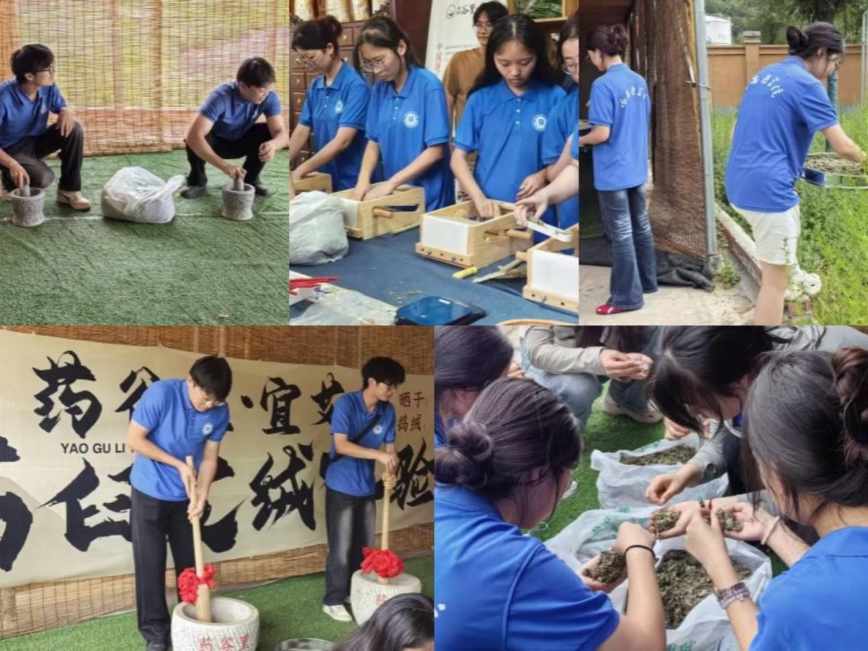 6a6c143558c3275f2ef3eea6c43fe6e